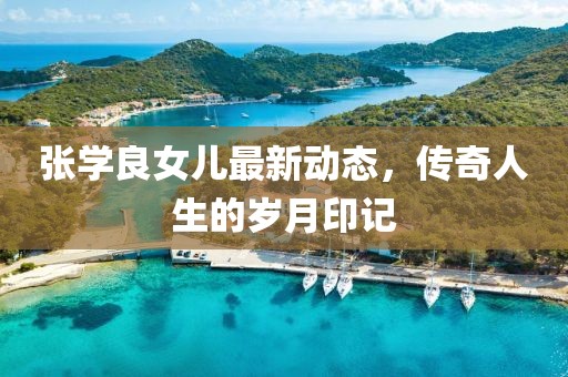 張學(xué)良女兒最新動態(tài)，傳奇人生的歲月印記