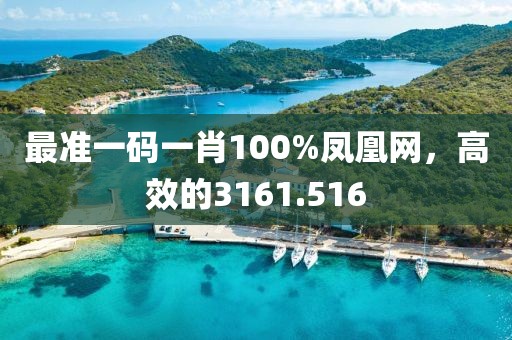 最準一碼一肖100%鳳凰網(wǎng)，高效的3161.516