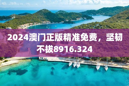 2024澳門(mén)正版精準(zhǔn)免費(fèi)，堅(jiān)韌不拔8916.324