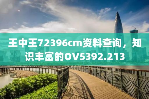 王中王72396cm資料查詢，知識豐富的OV5392.213