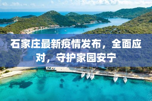 石家莊最新疫情發(fā)布，全面應(yīng)對(duì)，守護(hù)家園安寧