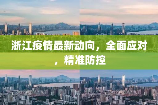 浙江疫情最新動(dòng)向，全面應(yīng)對，精準(zhǔn)防控