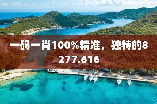 一碼一肖100%精準(zhǔn)，獨特的8277.616