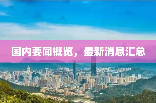 國內要聞概覽，最新消息匯總