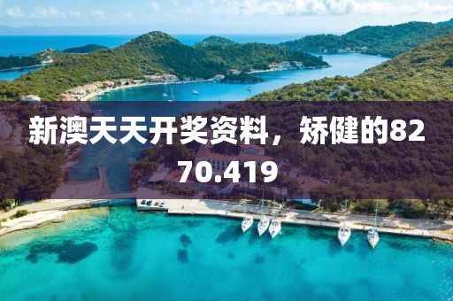 新澳天天開(kāi)獎(jiǎng)資料，矯健的8270.419