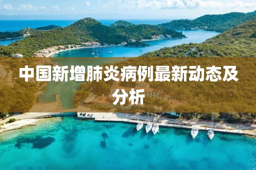 中國新增肺炎病例最新動態(tài)及分析