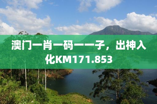 澳門一肖一碼一一子，出神入化KM171.853
