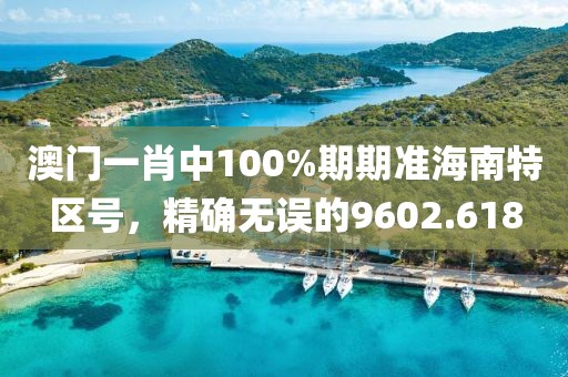 澳門一肖中100%期期準(zhǔn)海南特區(qū)號(hào)，精確無(wú)誤的9602.618