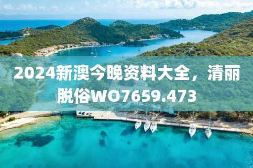 2024新澳今晚資料大全，清麗脫俗WO7659.473