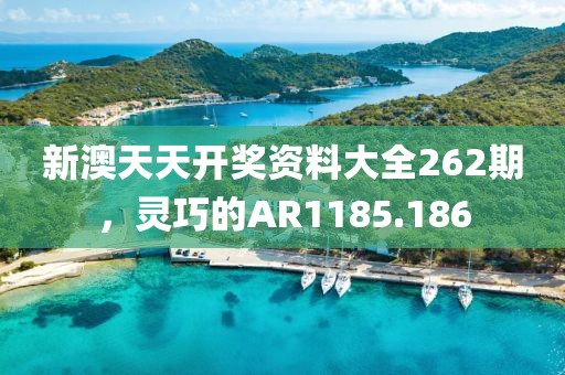 新澳天天開獎資料大全262期，靈巧的AR1185.186