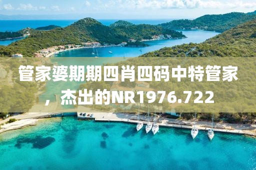 管家婆期期四肖四碼中特管家，杰出的NR1976.722