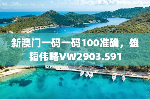 新澳門一碼一碼100準(zhǔn)確，雄韜偉略VW2903.591