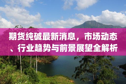 期貨純堿最新消息，市場(chǎng)動(dòng)態(tài)、行業(yè)趨勢(shì)與前景展望全解析