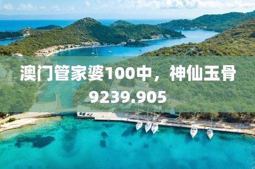 澳門管家婆100中，神仙玉骨9239.905