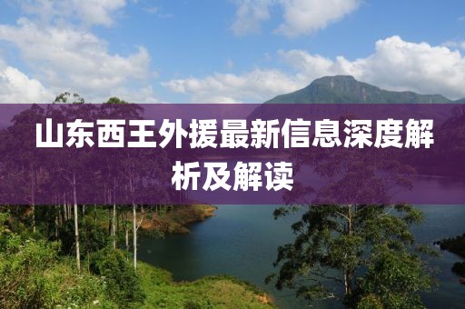 山東西王外援最新信息深度解析及解讀