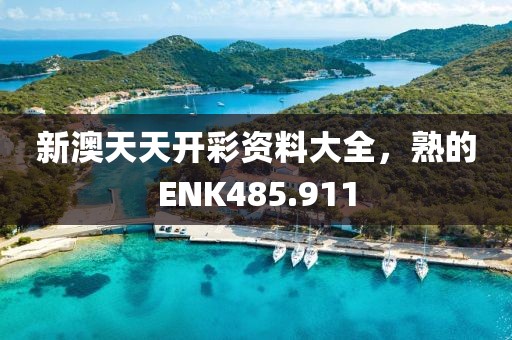 新澳天天開彩資料大全，熟的ENK485.911