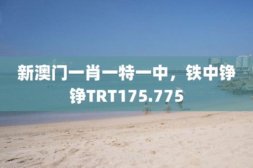 新澳門一肖一特一中，鐵中錚錚TRT175.775