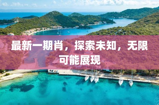 最新一期肖，探索未知，無(wú)限可能展現(xiàn)