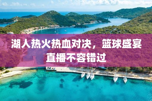 湖人熱火熱血對決，籃球盛宴直播不容錯過