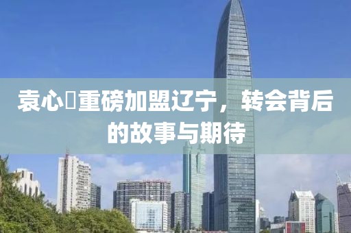 袁心玥重磅加盟遼寧，轉(zhuǎn)會(huì)背后的故事與期待