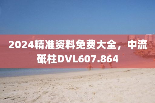 2024精準(zhǔn)資料免費(fèi)大全，中流砥柱DVL607.864