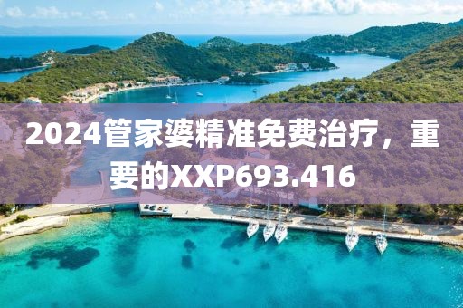 2024管家婆精準免費治療，重要的XXP693.416