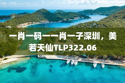 一肖一碼一一肖一子深圳，美若天仙TLP322.06
