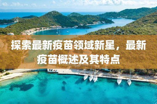 探索最新疫苗領(lǐng)域新星，最新疫苗概述及其特點(diǎn)