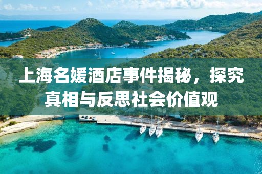 上海名媛酒店事件揭秘，探究真相與反思社會(huì)價(jià)值觀
