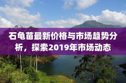 石龜苗最新價格與市場趨勢分析，探索2019年市場動態(tài)