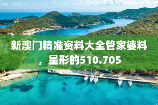 新澳門精準(zhǔn)資料大全管家婆料，星形的510.705