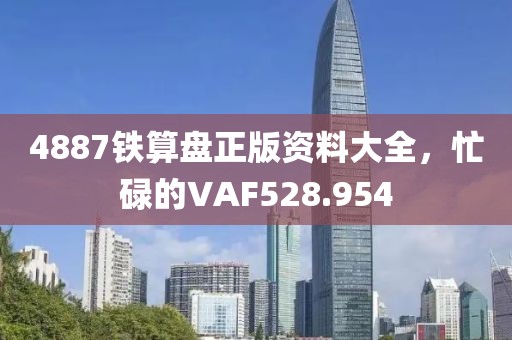 4887鐵算盤正版資料大全，忙碌的VAF528.954