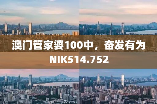 澳門管家婆100中，奮發(fā)有為NIK514.752