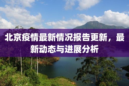 北京疫情最新情況報(bào)告更新，最新動(dòng)態(tài)與進(jìn)展分析
