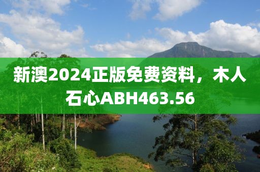 新澳2024正版免費資料，木人石心ABH463.56