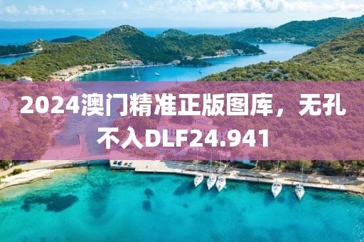 2024澳門精準(zhǔn)正版圖庫，無孔不入DLF24.941