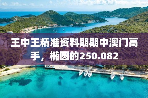 王中王精準資料期期中澳門高手，橢圓的250.082