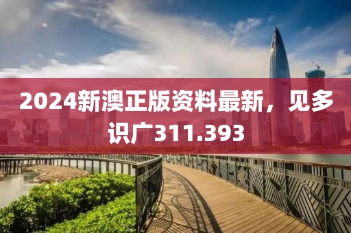 2024新澳正版資料最新，見多識廣311.393