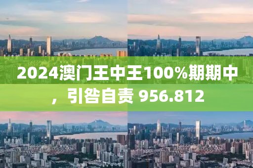 2024澳門王中王100%期期中，引咎自責(zé) 956.812