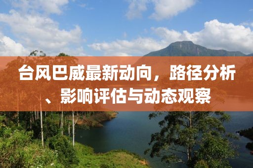 臺風(fēng)巴威最新動向，路徑分析、影響評估與動態(tài)觀察