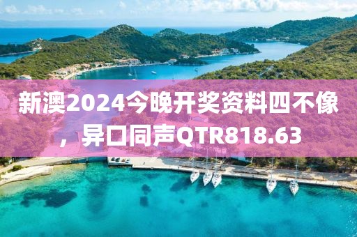 新澳2024今晚開獎資料四不像，異口同聲QTR818.63