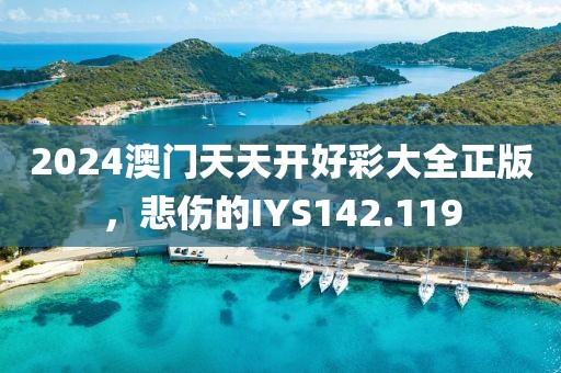 2024澳門天天開好彩大全正版，悲傷的IYS142.119