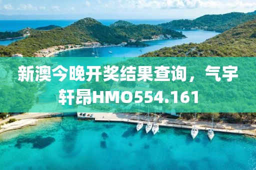新澳今晚開獎結果查詢，氣宇軒昂HMO554.161