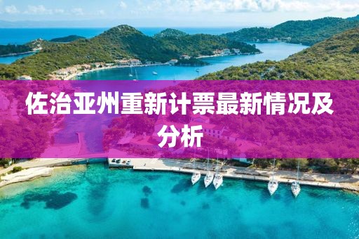 佐治亞州重新計(jì)票最新情況及分析