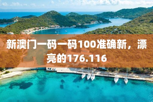 新澳門一碼一碼100準(zhǔn)確新，漂亮的176.116