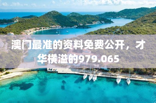 澳門最準的資料免費公開，才華橫溢的979.065