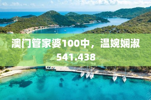 澳門管家婆100中，溫婉嫻淑541.438