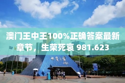 澳門王中王100%正確答案最新章節(jié)，生榮死哀 981.623
