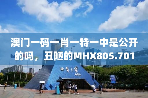 澳門(mén)一碼一肖一特一中是公開(kāi)的嗎，丑陋的MHX805.701