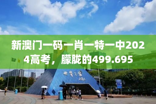 新澳門一碼一肖一特一中2024高考，朦朧的499.695